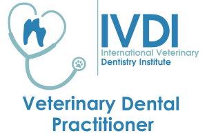 IVDI Logo