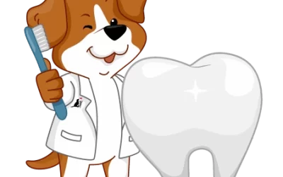 Atlanta’s Veterinary Dental Center: Teeth Cleaning for Puppies